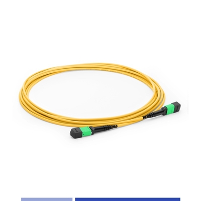 comprar 12 núcleos de cable de parche de fibra óptica MTP® Femenino G652D de modo único 10m Cables de parche de fibra OFNP tipo B fabricación en línea